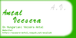 antal vecsera business card